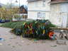 STP60382 - Kopie
